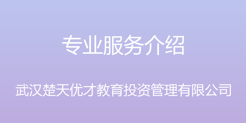 专业服务介绍 - 武汉楚天优才教育投资管理有限公司