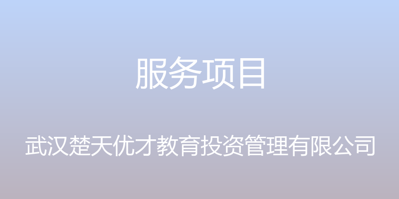 服务项目 - 武汉楚天优才教育投资管理有限公司