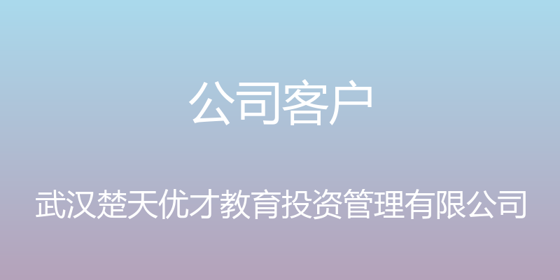 公司客户 - 武汉楚天优才教育投资管理有限公司